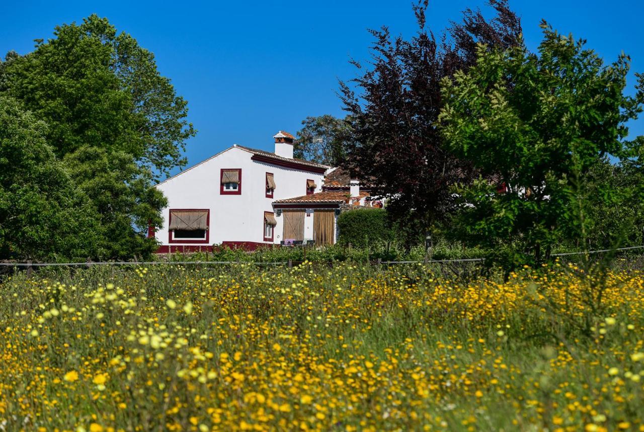 Отель Quinta Da Dourada Порталегри Экстерьер фото